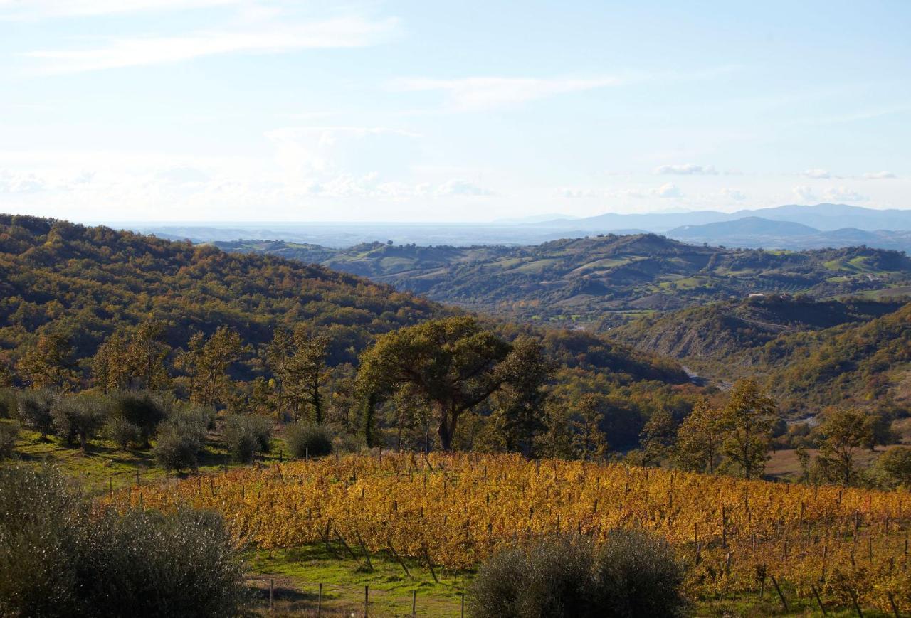 Fattoria La Pieve Villa Stribugliano Eksteriør bilde